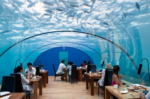 Underwater Restaurants | The Dine And Wine